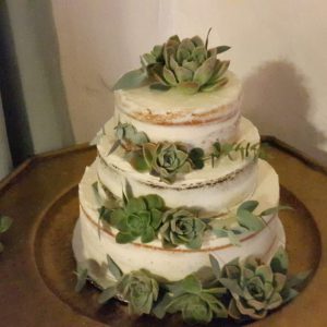 Semi-naked carrot cake with succulents as decor